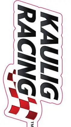 ai character: Kaulig Racing background