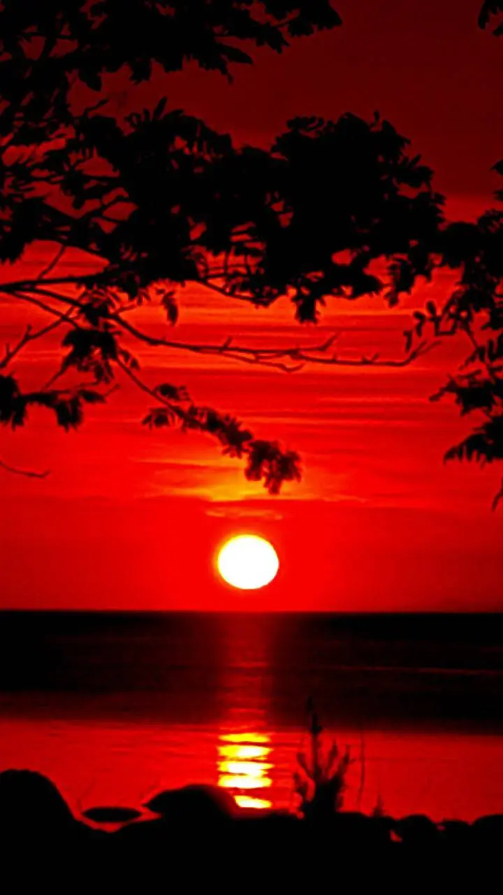 ai character: Death swap (Giyuu) background