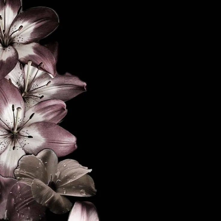 chat with ai character: College 5