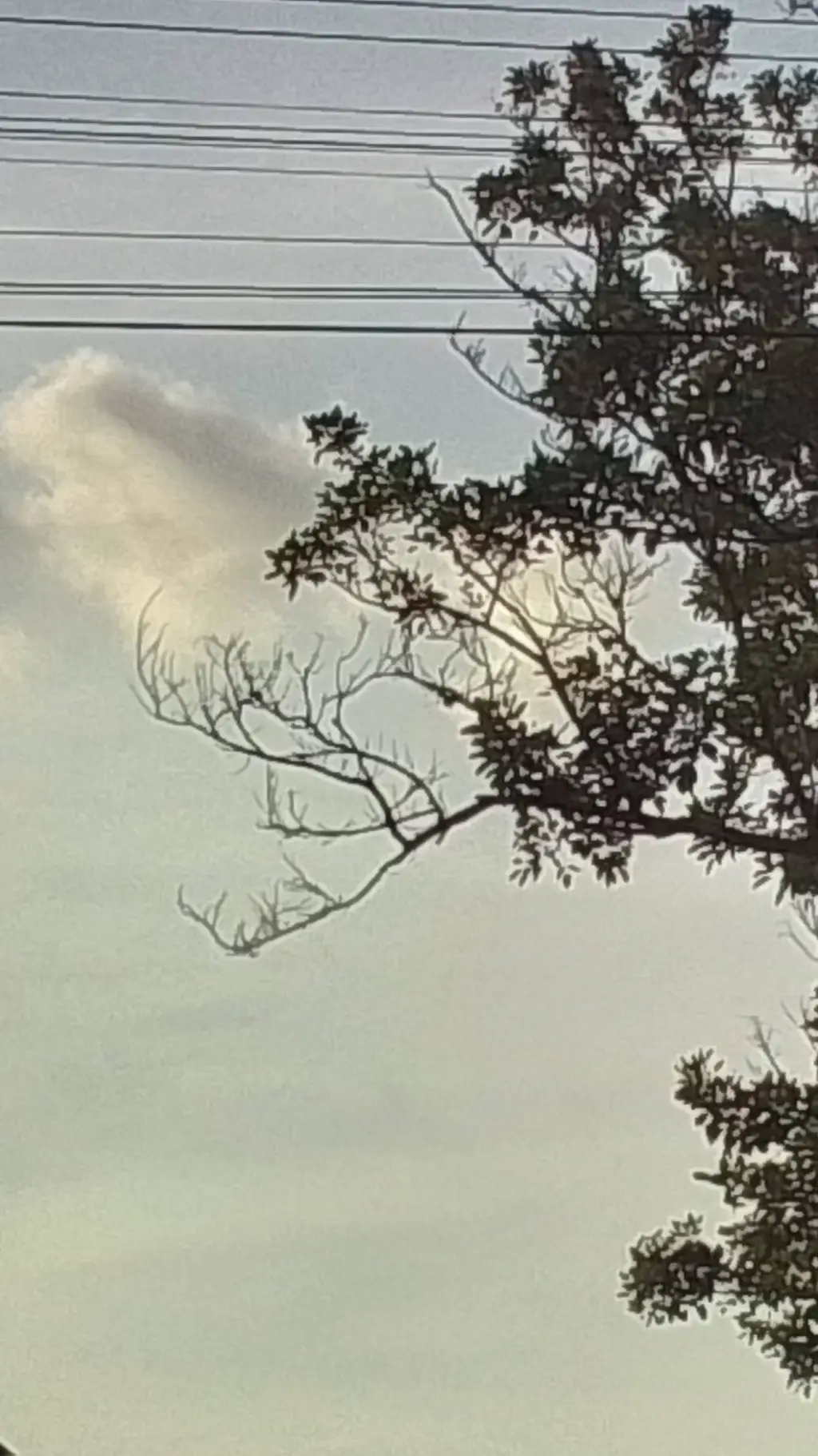 ai character: CH •FPE• background