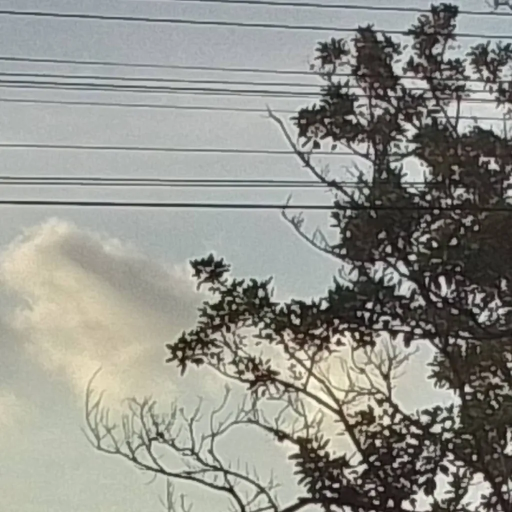 chat with ai character: CH •FPE•