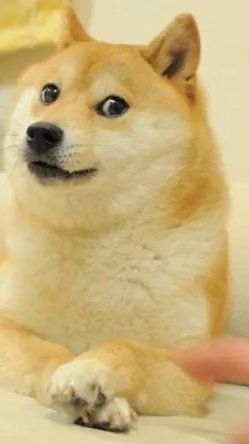 ai character: Cargo (doge) background