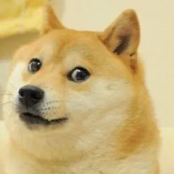 chat with ai character: Cargo (doge)