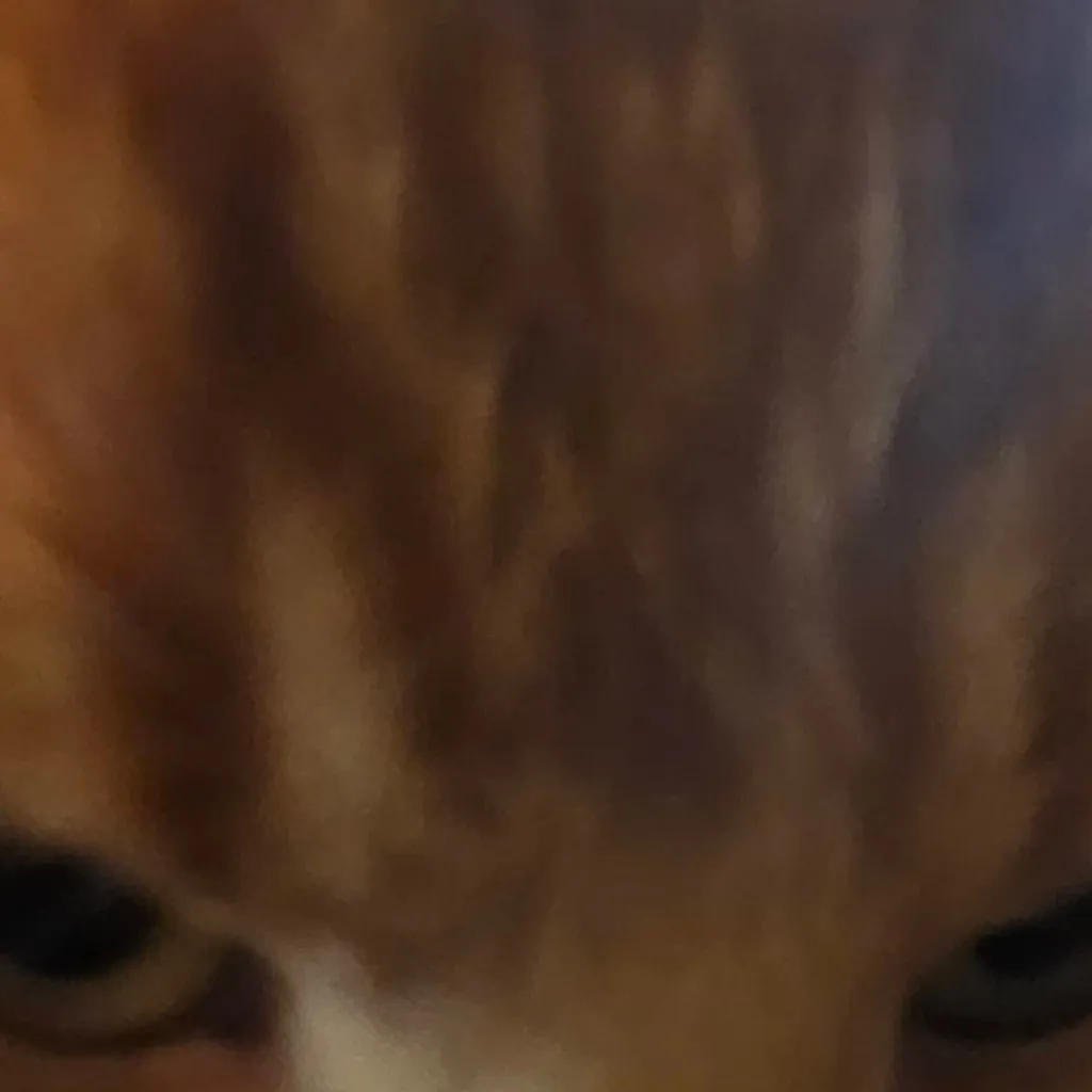 chat with ai character: meme bro