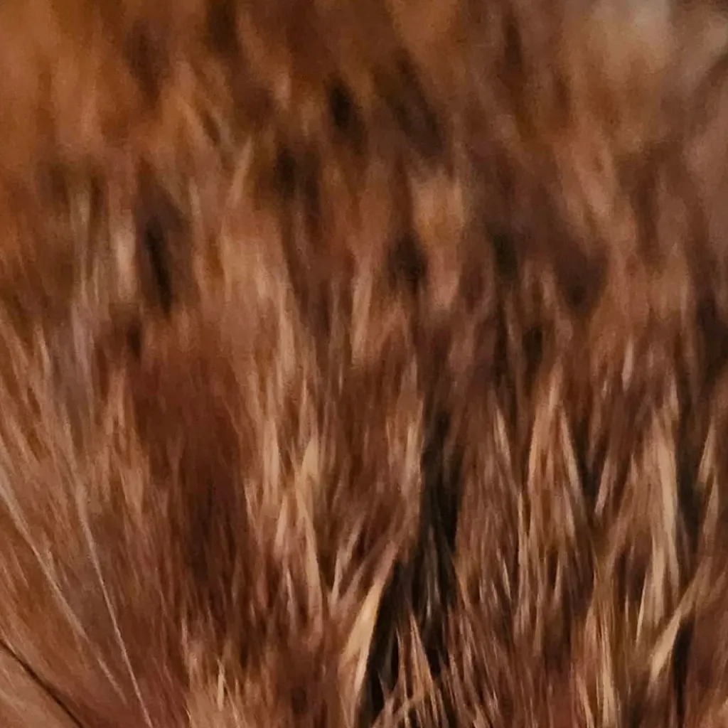 chat with ai character: I swallowed shampo