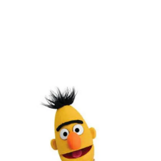chat with ai character: Bert