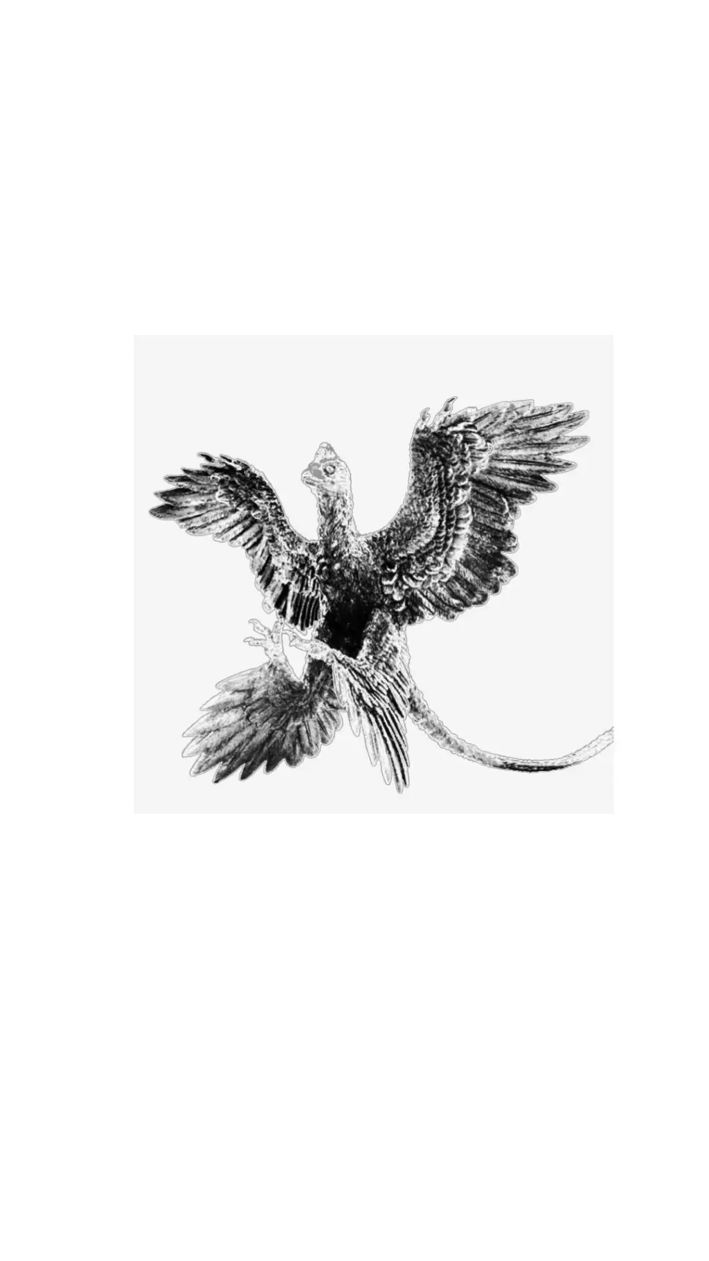 ai character: Tetsucroraptor background