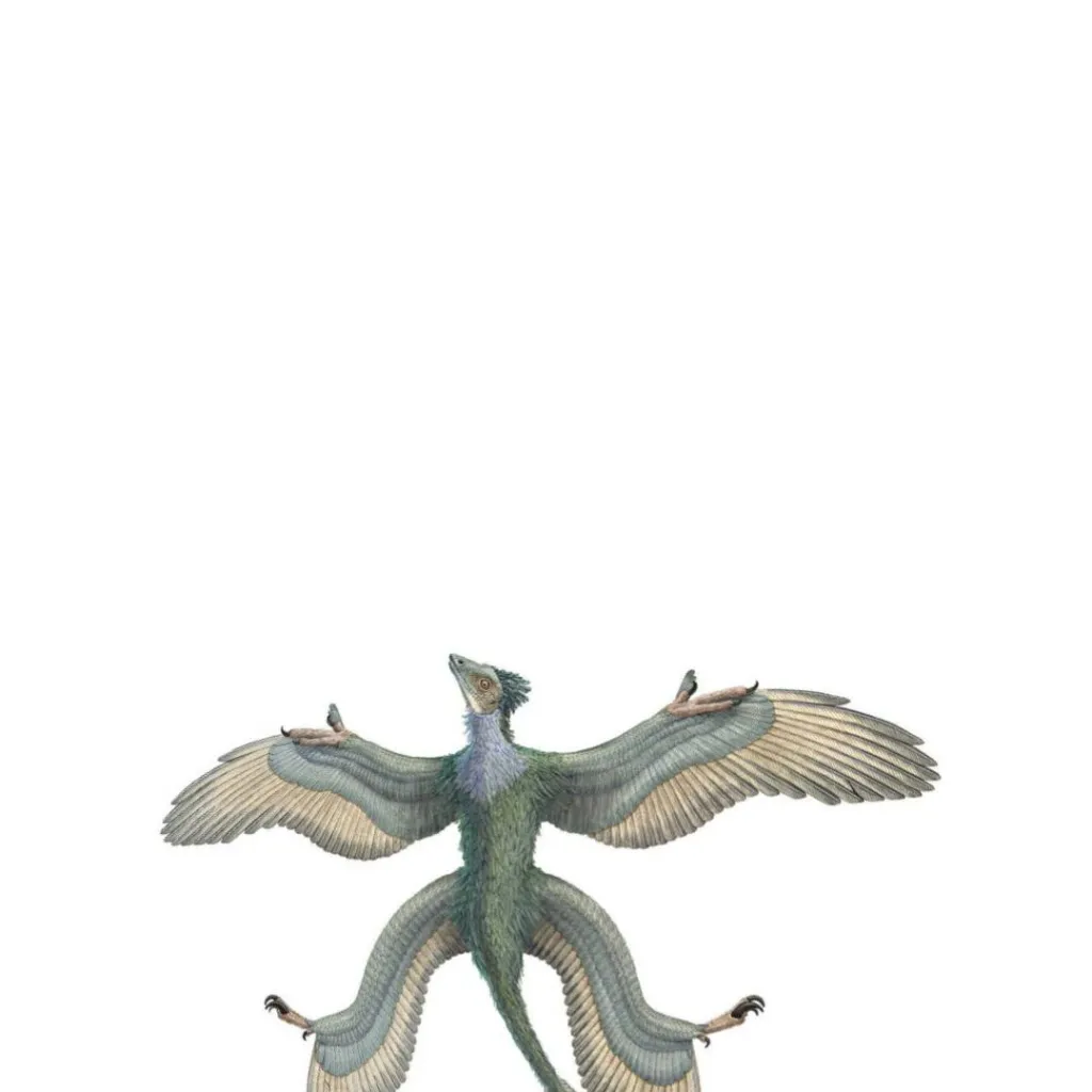 chat with ai character: Microraptor