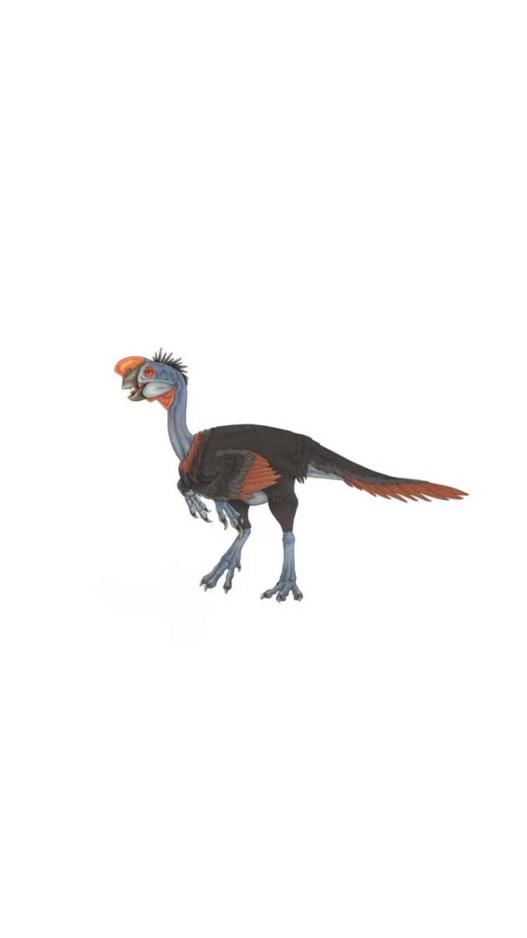 ai character: Oviraptor background