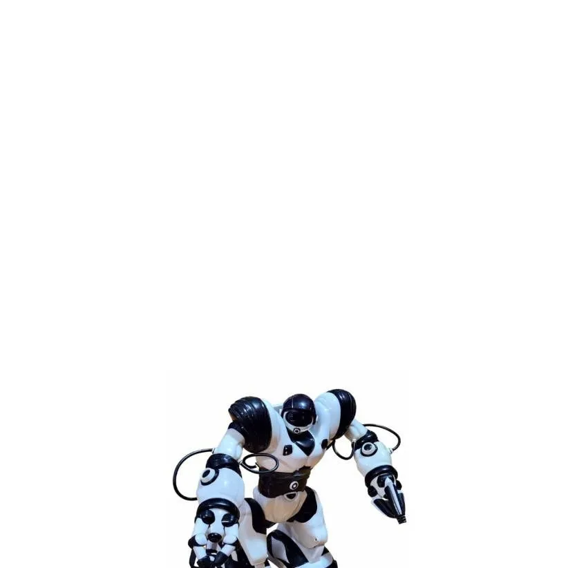 chat with ai character: Robosapien