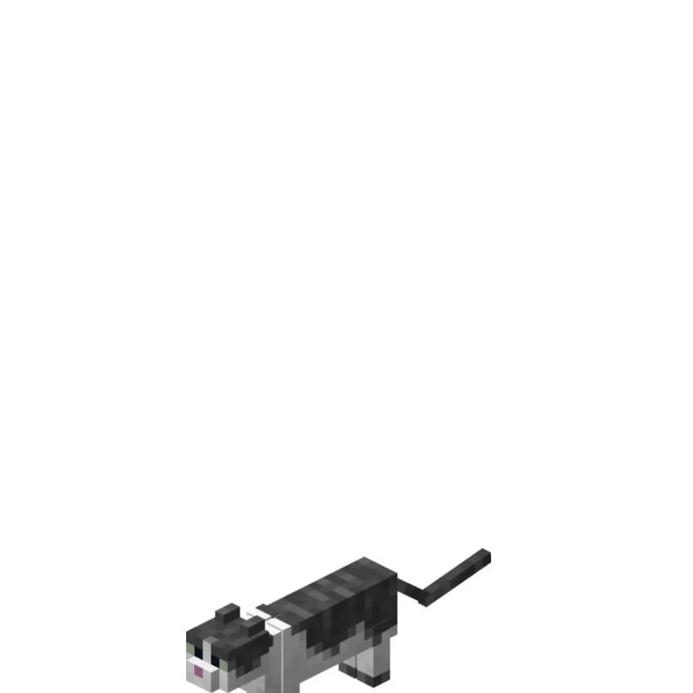 chat with ai character: Jellie Cat