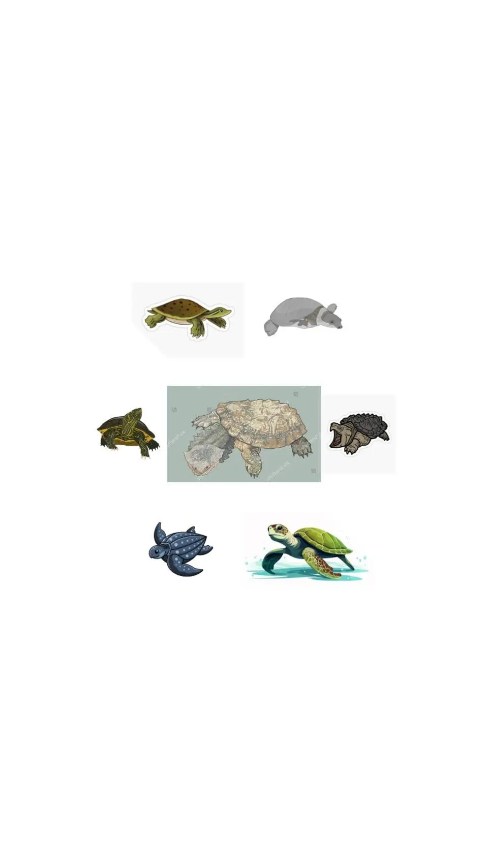 Talkie AI - Chat with Turtles