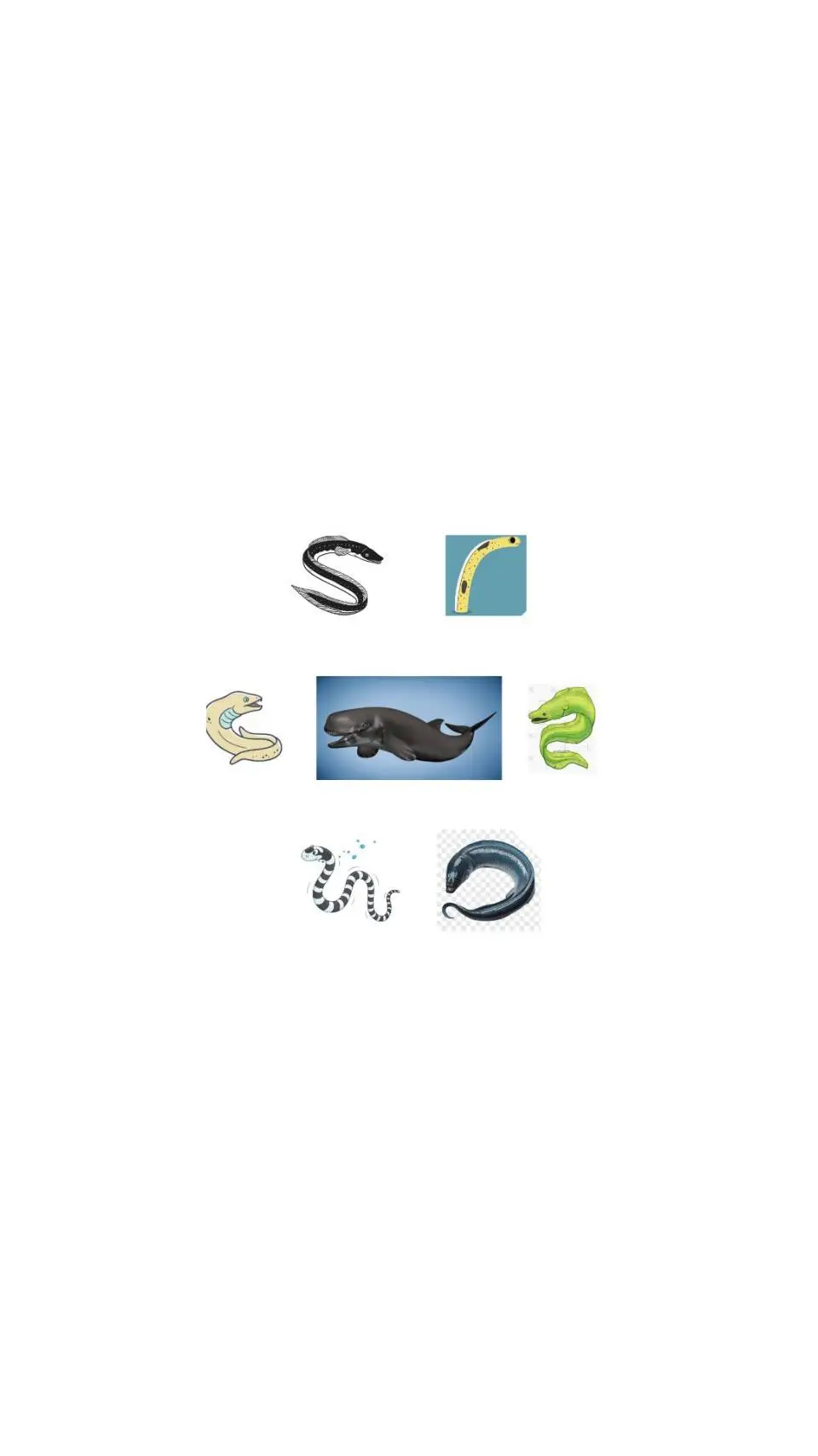 Talkie AI - Chat with Eels