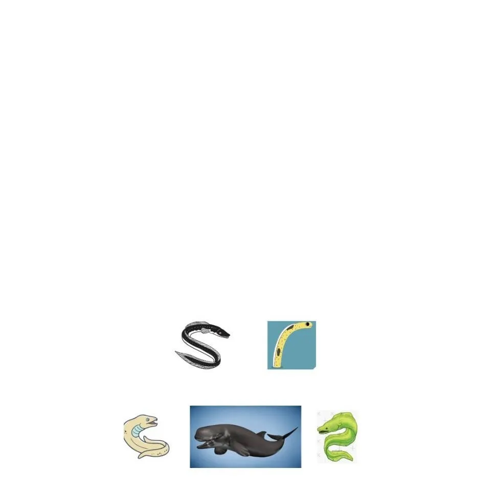 chat with ai character: Eels