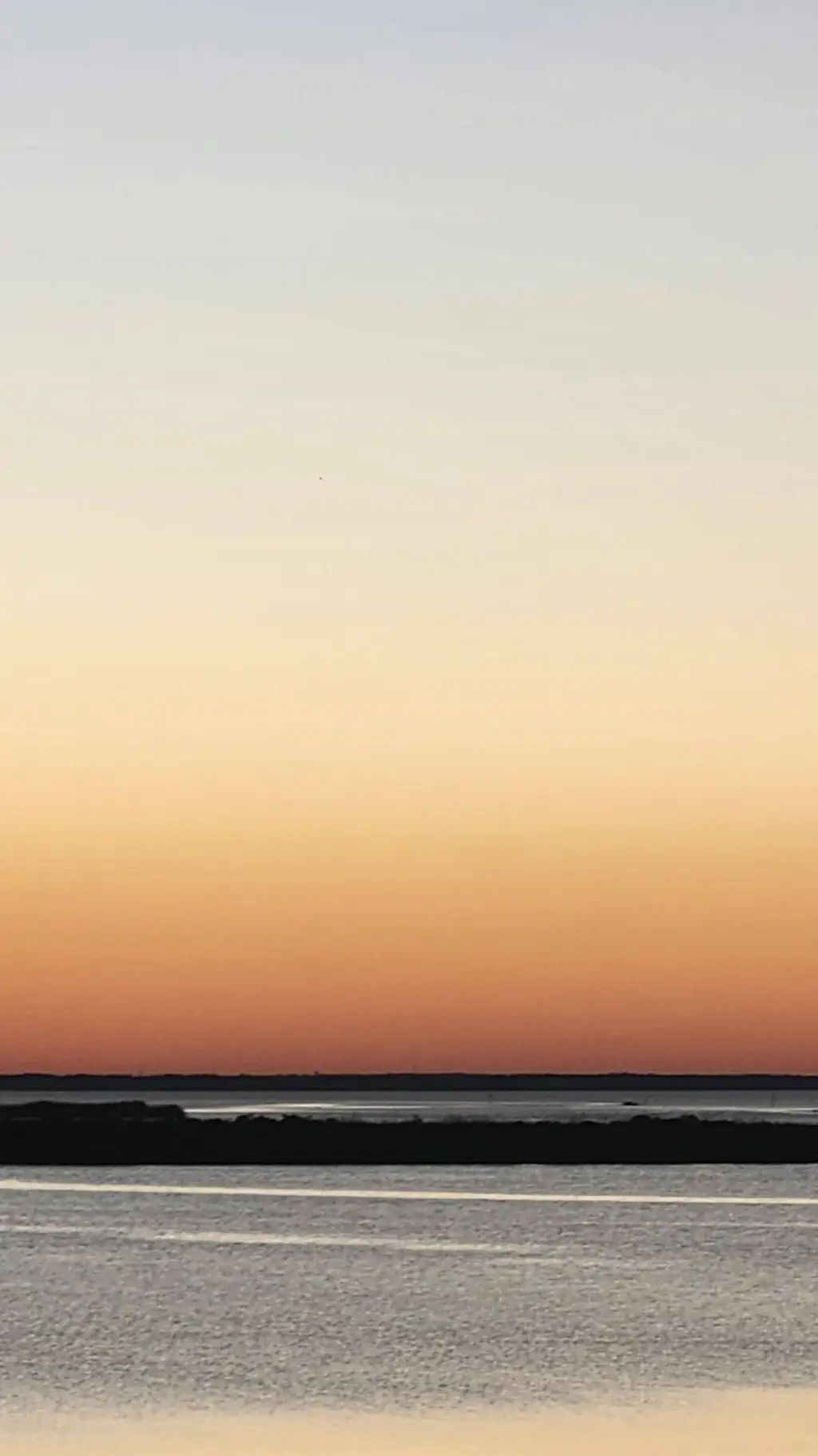 ai character: Adremadia Weasley  background