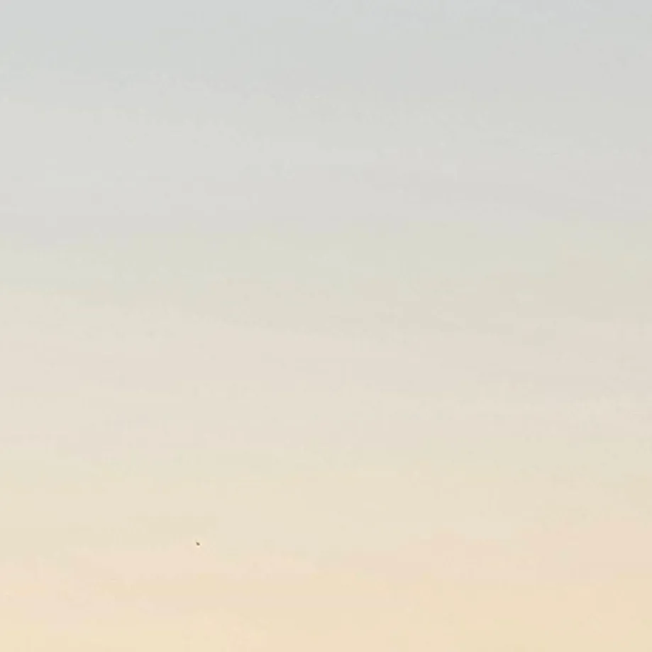 chat with ai character: Adremadia Weasley 