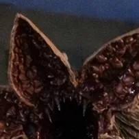 chat with ai character: :demegorgon