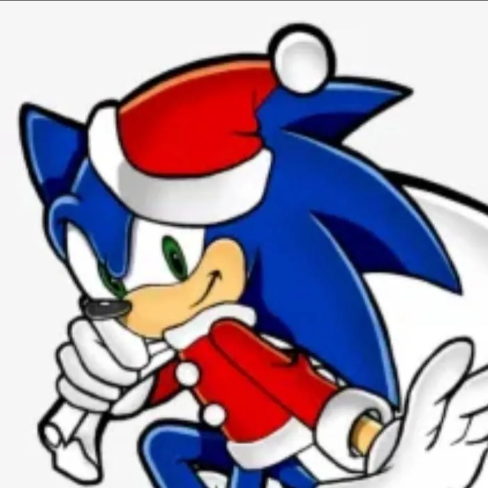 chat with ai character: 🎄Sonic Christmas!🎄