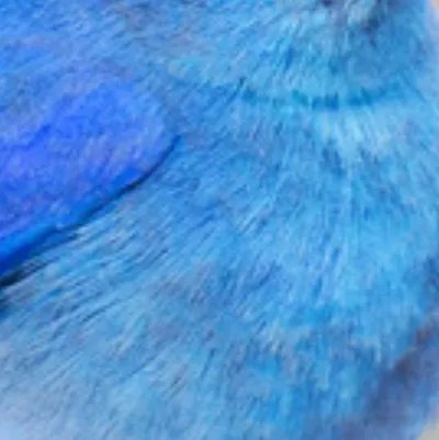 chat with ai character: Mountain bluebird