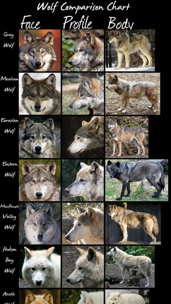 ai character: Vent background