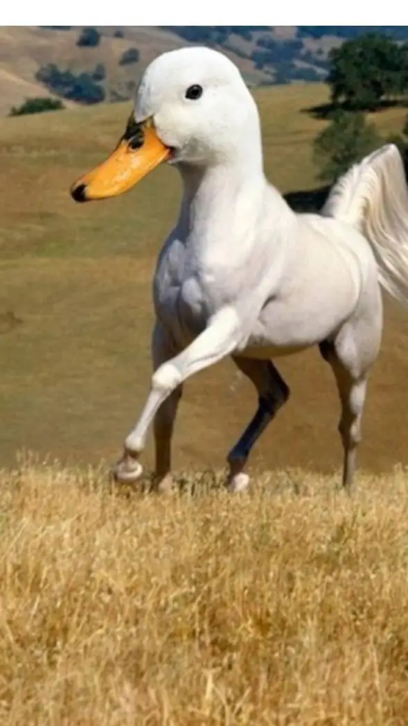 ai character: duck background