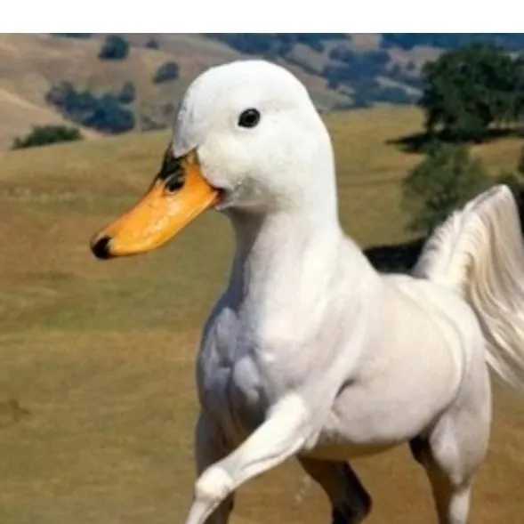 chat with ai character: duck