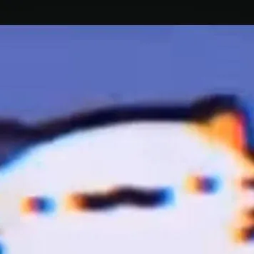 chat with ai character: Catty!!🍚