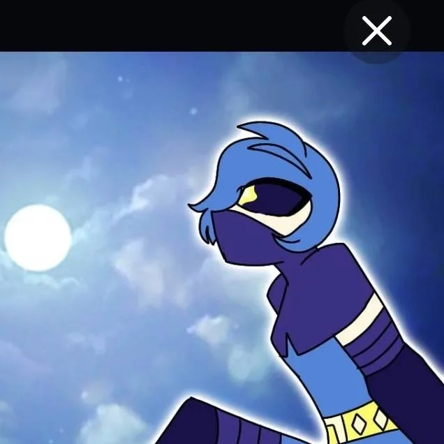 chat with ai character: ninja