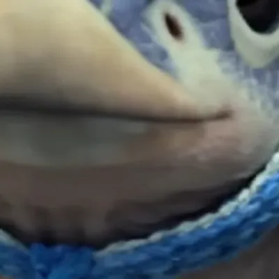 chat with ai character: Chaos theory