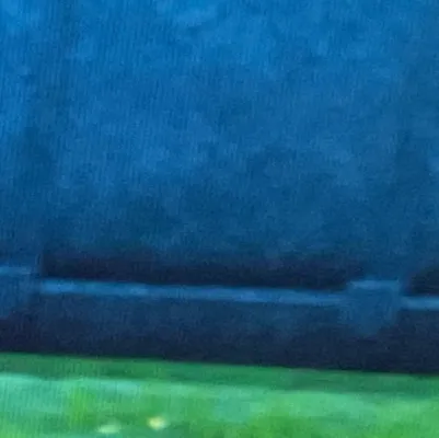 chat with ai character: Protect the babies