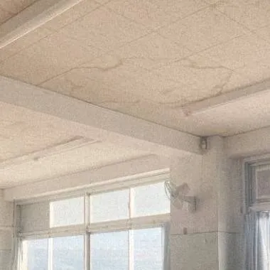 chat with ai character: Forsaken anime