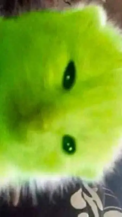 ai character: Zip background