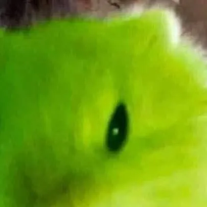 chat with ai character: Zip