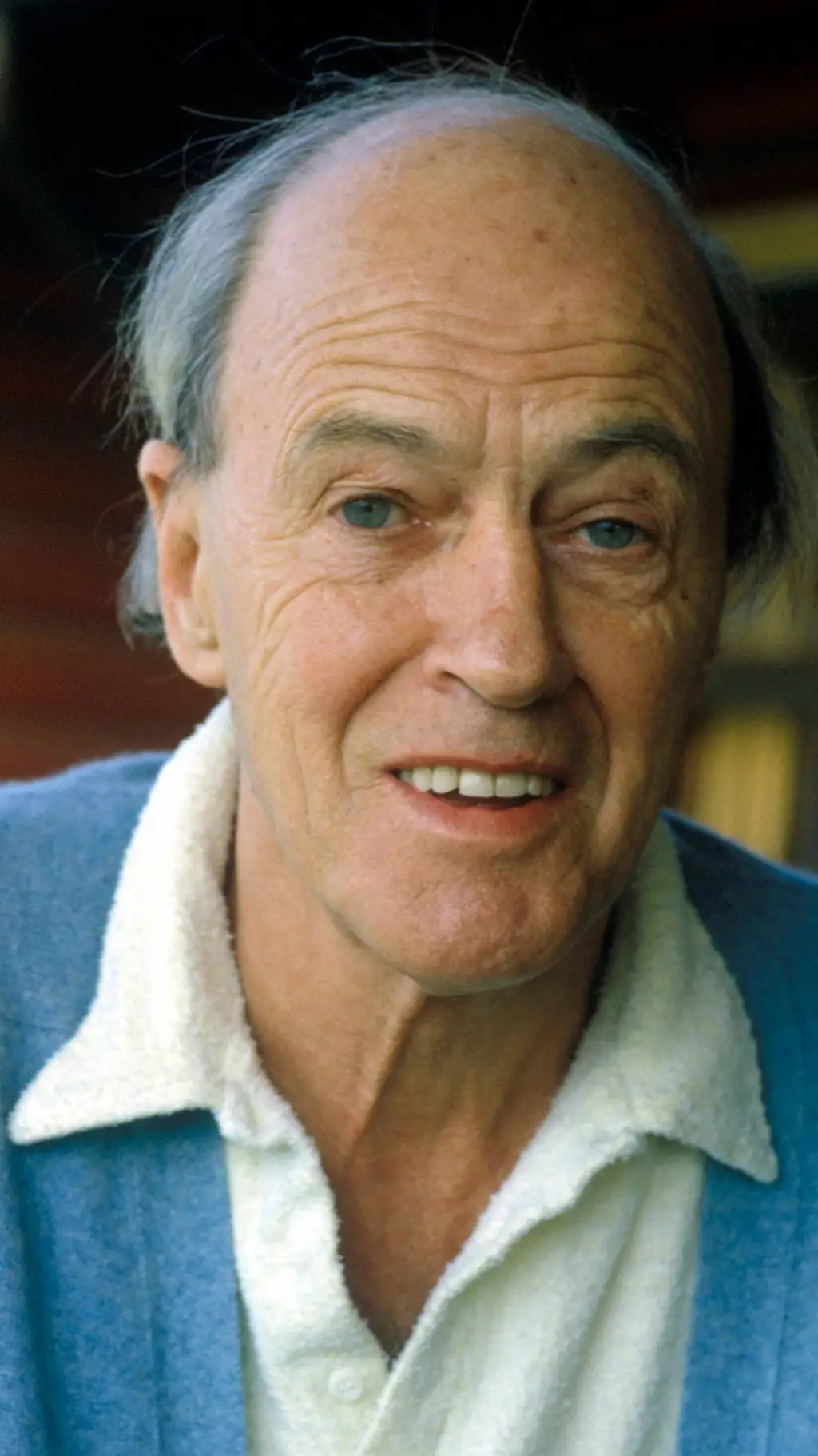 Talkie AI - Chat with Roald Dahl