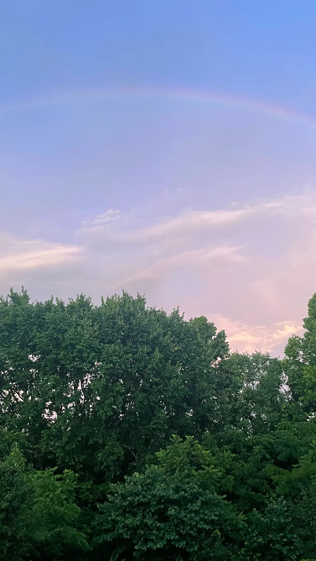 ai character: requests? background