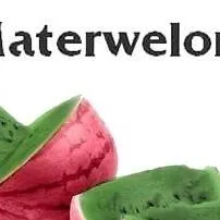 chat with ai character: MATERWELON