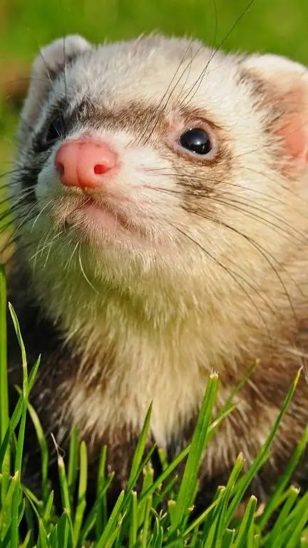 ai character: School  background