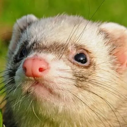 chat with ai character: School 