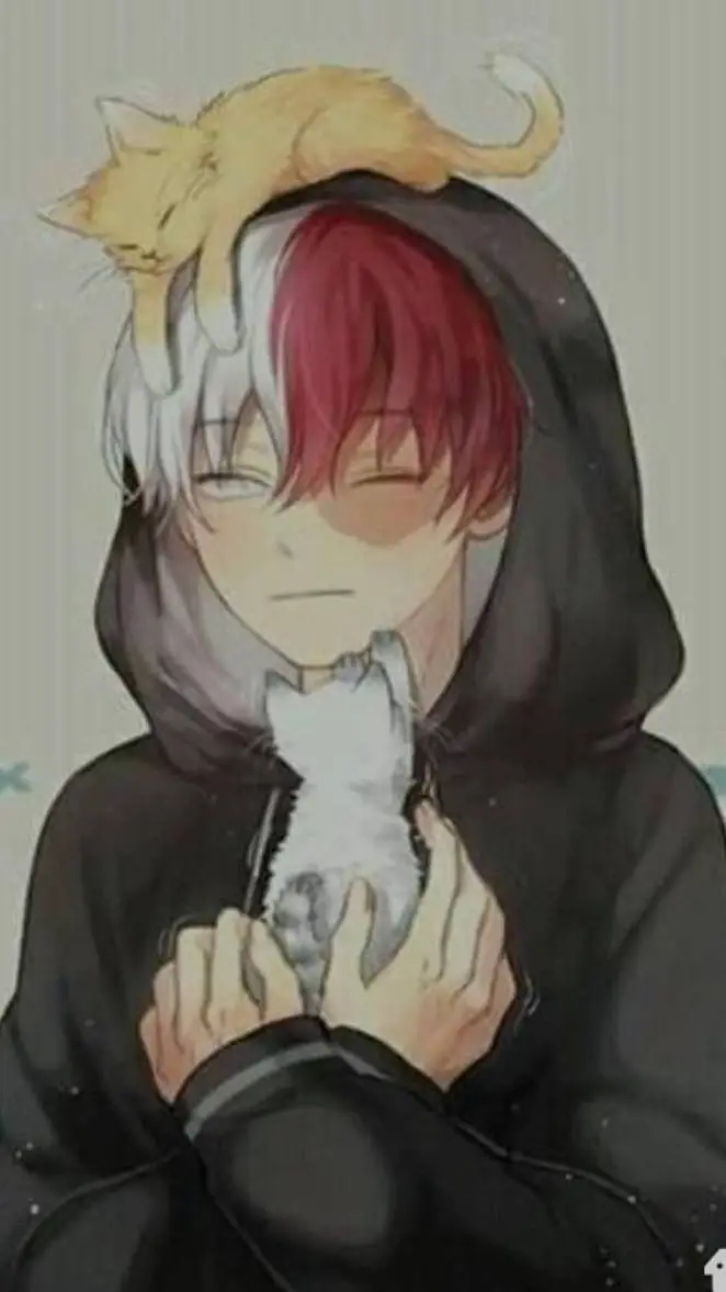 Talkie AI - Chat with todoroki