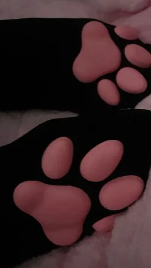 Talkie AI - Chat with pawsocks tf tg