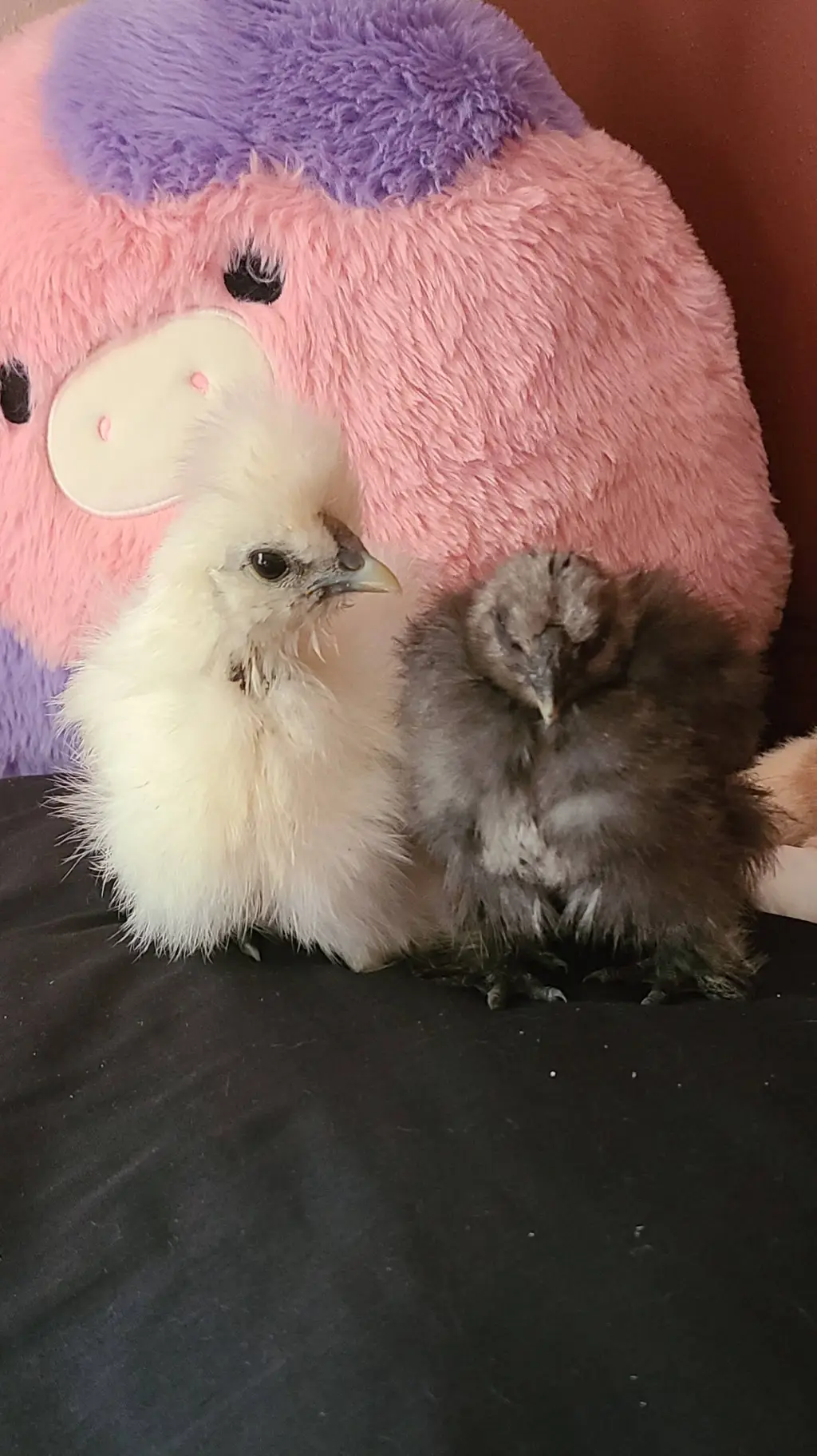 ai character: snowballandmisty background