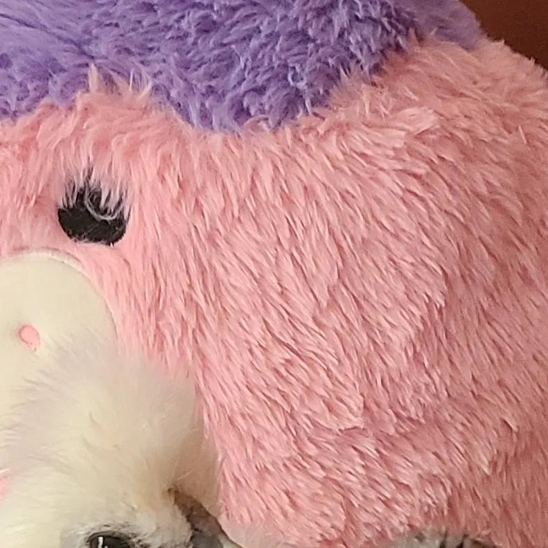 chat with ai character: snowballandmisty