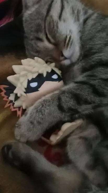 ai character: Bakusquad-swim fun background