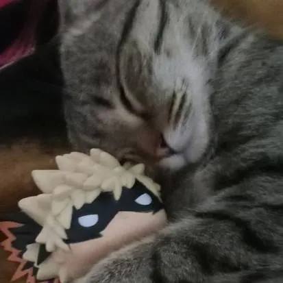 chat with ai character: Bakusquad-swim fun