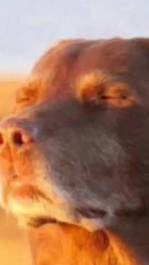 ai character: mha react to fanf background