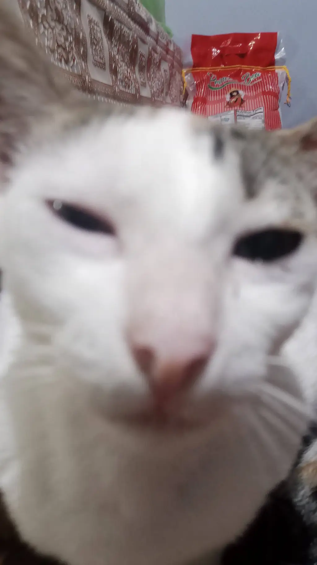 ai character: Muffin the cat background