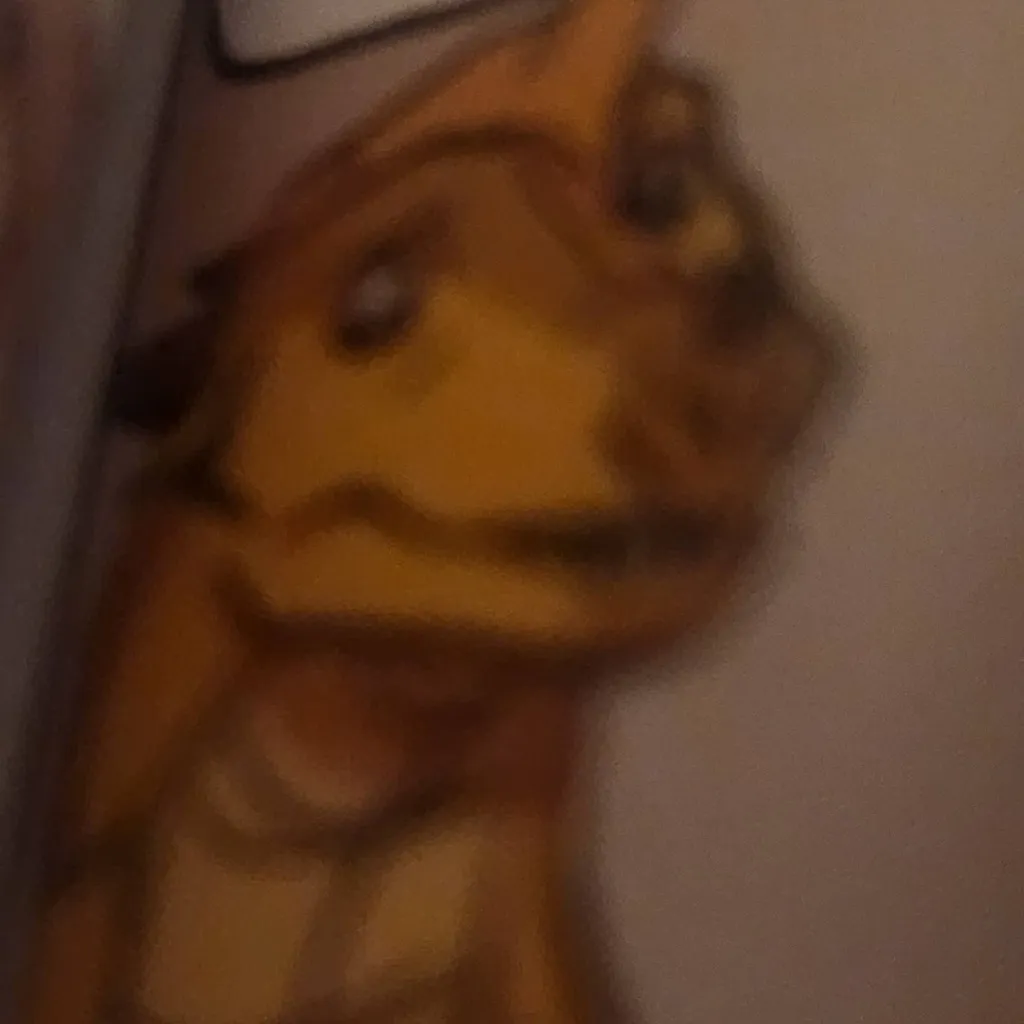 chat with ai character: Qibli