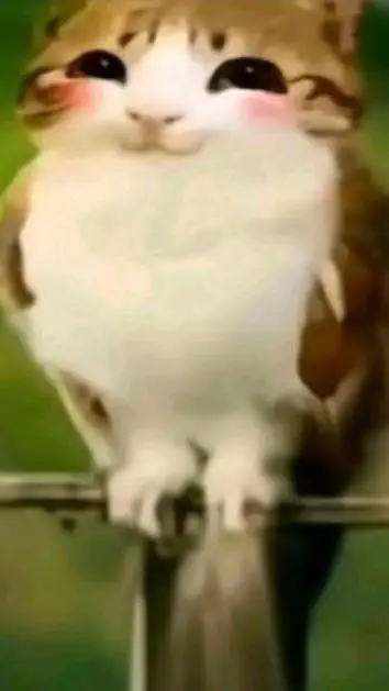 ai character: Meowl background