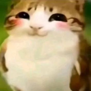 chat with ai character: Meowl