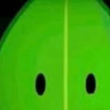 chat with ai character: Fruitcake